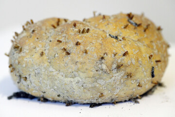 European grain worm or European grain moth (Nemapogon granella). Bread, rolls destroyed by pest.