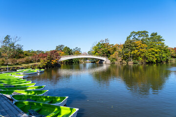 Onuma Quasi-National Park. Sunny day scenery landscape. Oshima Subprefecture, Town Nanae. Hokkaido, Japan