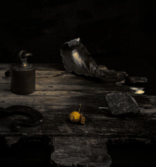 Fine art still life from Italy