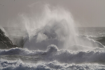 Stormy breaking waves