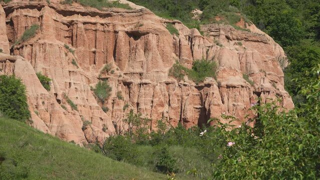 The erosion wall of the Red Ravine (Rapa Rosie) in Romania