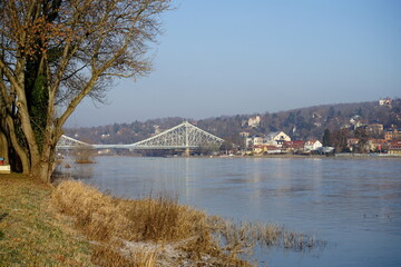 Fototapeta premium Blick über die Elbe zur Loschwitzer Brücke