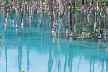 青い池