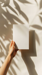 Aesthetic mockup. Woman hand holds a white blank on light backdrop with sun rays and strong shadows. Generative AI