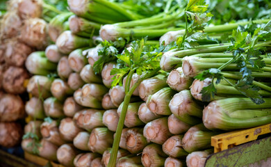 Fresh celery bunches for sale at the farmers market - 727755943