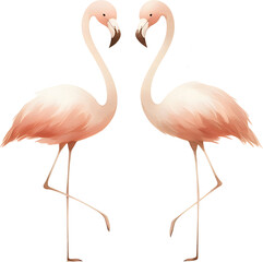 Lovely set with 2 cute pink flamingos.Cartoon birds.Perfect for your project,wedding,print,scrapbook,baby shower,Birthday card,invitations,greeting card and much more.