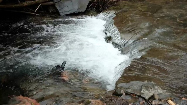 small ague jump in the river