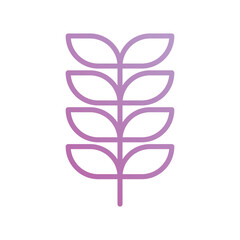 wheat icon with white background vector stock illustration