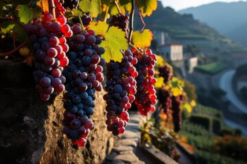Close-up of grapes in the vineyards generated AI