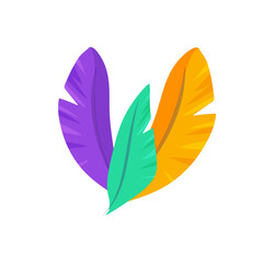 set of multicolored , feathers purple, orange and green. On a white isolated background
