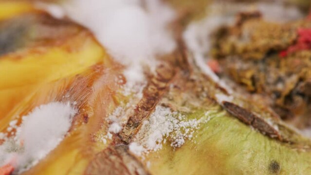 Mouldy fruit extreme close-up rotating