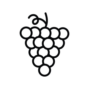  grape icon with white background vector stock illustration