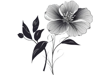 Black white flower isolated on white background. Abstract flower illustration. Flower on a white background. Black-and-white photo. Flower background.  Minimalistic monochrome botanical design.