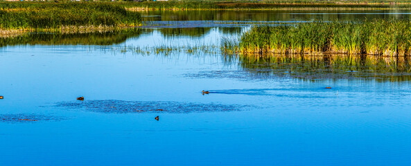 Kinnbrook Island Provincial Park Alberta Canada