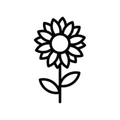 sunflower icon with white background vector stock illustration