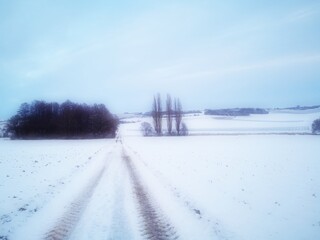 Weg durch Winterlandschaft