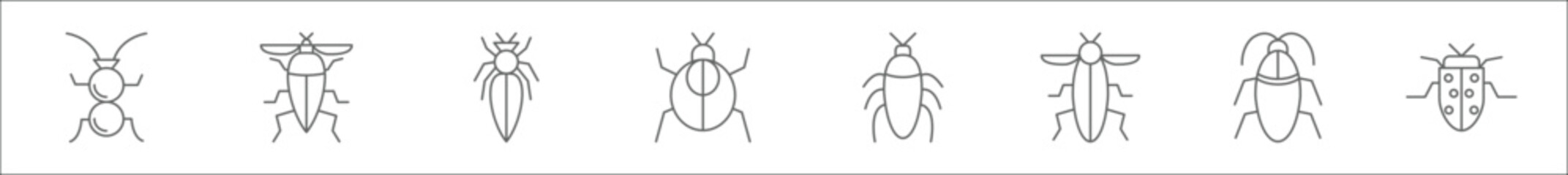 outline set of insects line icons. linear vector icons such as ant, insect, pest, insect, cockroach, moth, cockroach, insect - obrazy, fototapety, plakaty