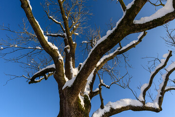 Wege im Winter im Schnee bei Sonnenschein