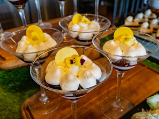 A Close Up View of a Tall Glass of Chocolate Mousse with White Cream Shots