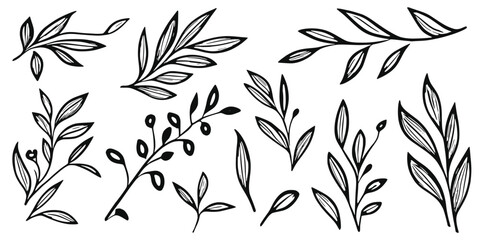 Vector leaves isolated on a white background, minimalist design, black and white
