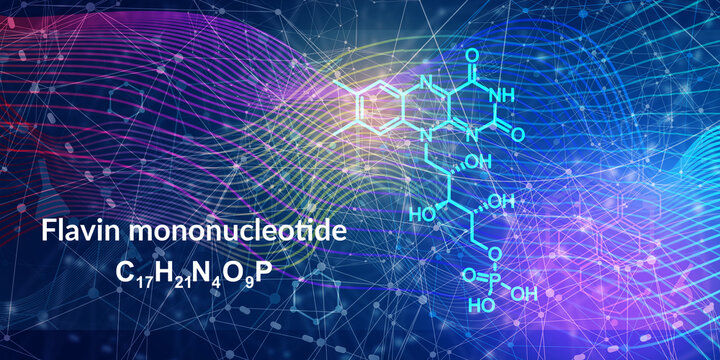 Chemical formula of flavin mononucleotide. Skeletal formula.