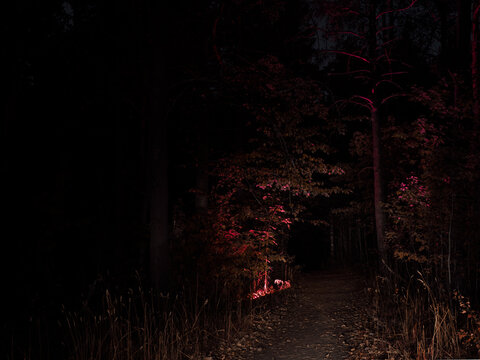 Dark passage in the forest illuminated with red light captured in Helsinki central parkl