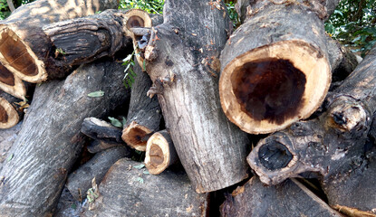 A wood material logging. Round timber stock.