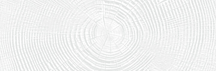 Wood texture, light gray background, vector design