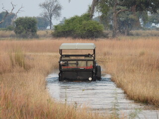 Fototapeta premium Driving the Channels of the Okavango Delta