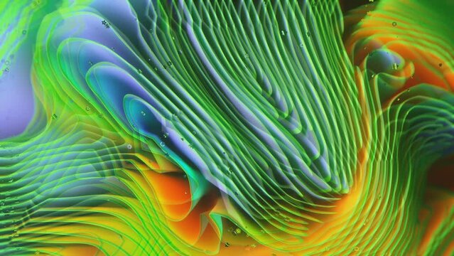 background with feathers
