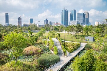 Beautiful wetland in green Benjakitti city park Bangkok, Thailand in sunny day blue sky background summer season. Nature and green environmental in city concept.