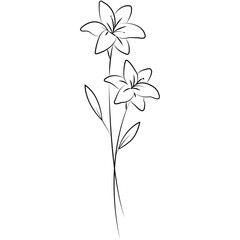illustration of a flower