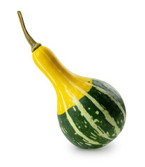 Small decorative pumpkin isolated on transparent backdrop with soft shade. Striped, long-necked, pear-shaped pepo squash