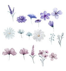 Set watercolor elements of flowers; collection garden flowers; leaves; branches. Botanic; illustration, vintage, purple; Wedding floral design