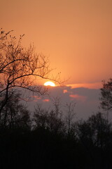 coucher de soleil afrique