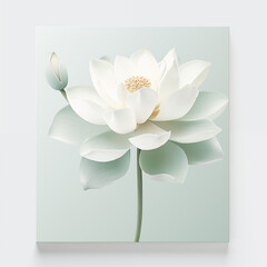 White lotus flower with a bud on pastel green background.