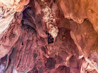Cueva de Las Güixas, Villanúa, Pyrenees, Huesca, Aragon, Spain. Cave that can be visited in Villanua