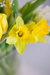 Little bouquet of beautiful yellow flowers. Daffodils in vase 