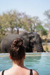 éléphant safari afrique