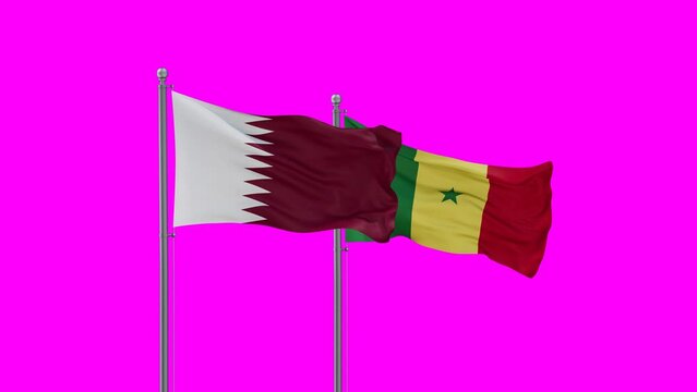 Republic of Senegal and Qatar flag waving with colored chroma key for easy background remove, endless seamless loop, two country cooperation concept