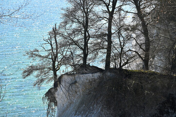 Famous white cliffs in Jasmund National Park - 727817714