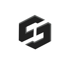 Letter S logo icon design template. elegant, modern, luxury.
