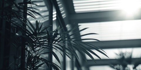 A black and white photo of a plant placed in front of a window. Suitable for various uses