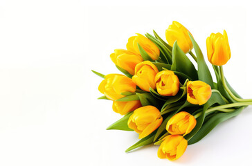 Bouquet of yellow tulips on a white background with copy space