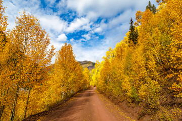 Fototapeta premium Colorado Rocky Mountains Fall Foliage