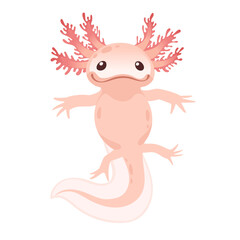Cute cartoon axolotl pink color amphibian animal vector illustration isolated on white background
