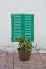 metal shutter on a white facade and a large pot with a plant
