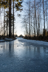 Frozen path in forest