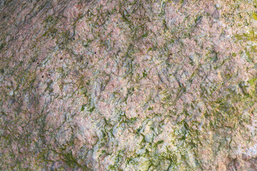 texture of pink stone with green moss seen from above

