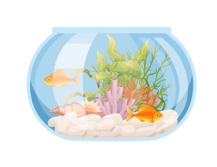 Round glass aquarium with fishes grass stones and decorative items vector illustration isolated on white background